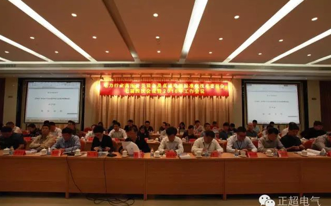 電力行業(yè)高壓開關(guān)設(shè)備及直流電源標準化技術(shù)委員會七屆四次會議暨2016年工作會議在汕頭召開